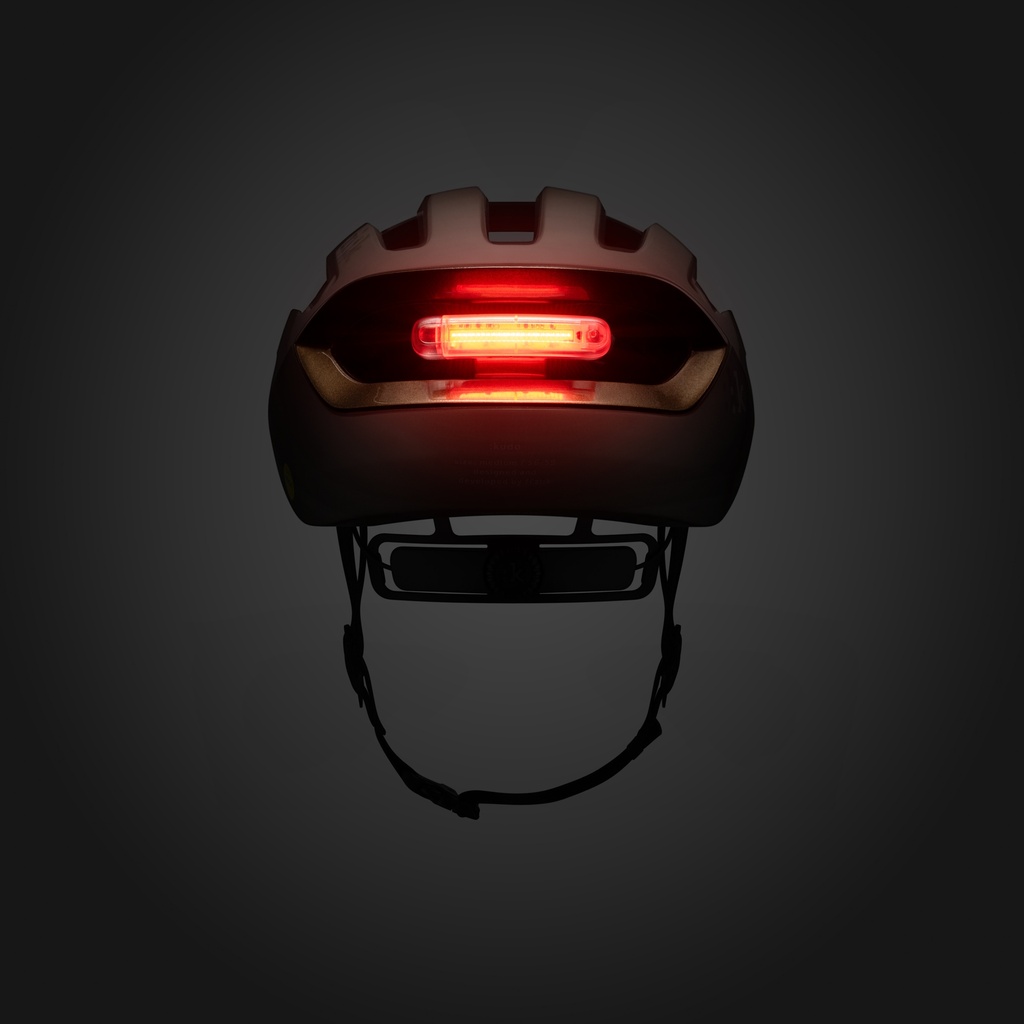 CASCO FIZIK KUDO BRONZE + LIGHT