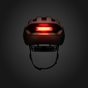 CASCO FIZIK KUDO BRONZE + LIGHT